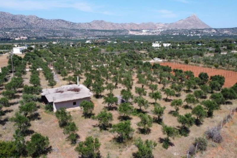 Mouzouras Kreta, Mouzouras: Flaches Grundstück mit Panoramablick zu verkaufen Grundstück kaufen